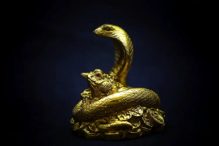 Cobra in oro vermeil | Accademia delle Arti Orafe